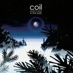 cover: Coil - Musick To Play In The Dark