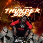 cover: Digital Sham - Thunder Bolt