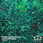 cover: Pedro Campodonico - Amazon Power