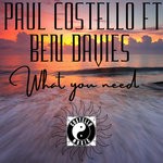 cover: Paul Costello & Ben Davies - What You Need