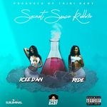 cover: Icee Dan - Ride