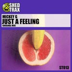 cover: Mickey G - Such A Feeling