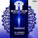 cover: Dj Hermes - Paradise