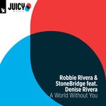 cover: Denise Rivera|ROBBIE RIVERA|STONEBRIDGE - A World Without You (Remixes)