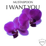 cover: Mustaspoon - I Want You