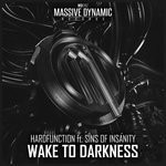 cover: Hardfunction|Sins Of Insanity - Wake To Darkness