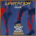 cover: Levitation Records - Do What You Want