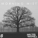 cover: Walter Wayne - Morning Mist