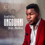 cover: Mzidou|Soul'ello - Ungowami