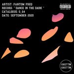 cover: Fantom Freq - Dance In The Dark