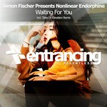 cover: Nonlinear Endorphine - Waiting For You