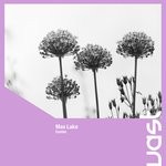 cover: Max Lake - Combo