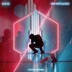 cover: Siks - What U Do (Extended Version)