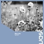 cover: Max Lake - Spectator