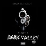 cover: Ashley B - Dark Valley (Explicit)