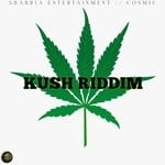 cover: Briayanna Trending - Kush Riddim