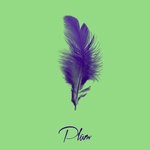 cover: Plum - DOWN DOWN