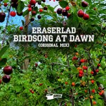 cover: Eraserlad - Birdsong At Dawn