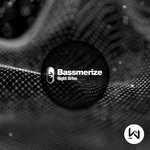 cover: Bassmerize - Night Drive