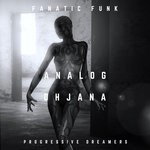 cover: Fanatic Funk - Analog Dhjana