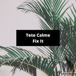 cover: Tete Calme - Fix It