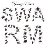 cover: Young Knives - Swarm