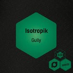 cover: Isotropik - Gully