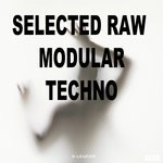 cover: Various - Selected Raw Modular Techno