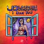 cover: Unseen Dimensions - I Know You