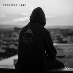 cover: Groove Monkz - Promised Land