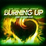 cover: Dennis Wonder|Hjm - Burning Up