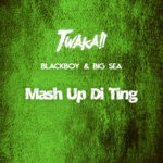 cover: Big Sea|Blackboy - Mash Up Di Ting