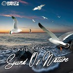 cover: Chris Rain - Sound Of Nature