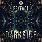 cover: Psy Fact - Darkside