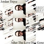 cover: Jordan Trove - After The Love Has Gone