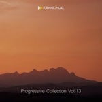 cover: Various - Progressive Collection Vol 13