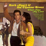 cover: Herb Alpert & The Tijuana Brass - What Now My Love