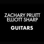 cover: Elliott Sharp - Guitars