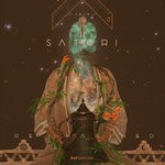 cover: Satori - Re:Imagined