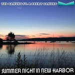 cover: Robert Ganung|Ted Ganung - Summer Night In New Harbor