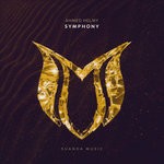 cover: Ahmed Helmy - Symphony