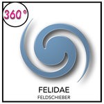 cover: Feldschieber - Felidae (Extended Versions)