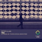 cover: Peter Illias - Tao (Extended Mix)