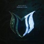 cover: Rusty Spica - Perfection