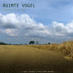 cover: Ruimte Vogel - Meaning To An End