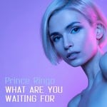 cover: Prince Ringo - What Are You Waiting For