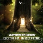 cover: Elektrik Boy|Magnetic Noize - Labyrinth Of Infinity