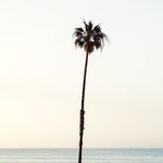 cover: Luca Bacchetti - California