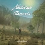 cover: Federico Romanzi - Natura Sonoris