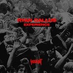 cover: Ryan Gallus - Experience